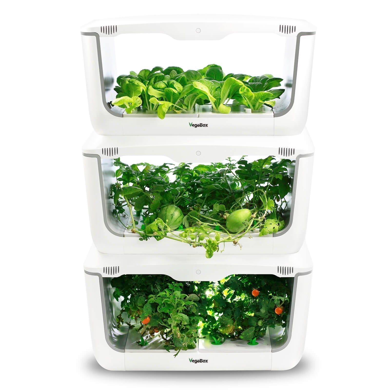 VegeBox Home Cultivez Herbes arrêt Automatique Blanc Jeunes Pousses Pompe à Eau 28 Trous de Plantation Légumes Jardin Hydroponique Potager dintérieur 